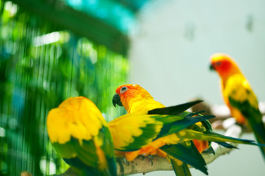 Similar image 480036