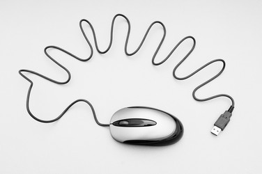 Similar image 480042