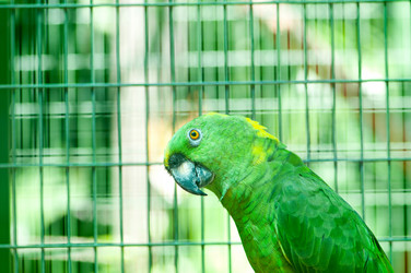 Similar image 480060