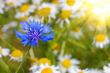 Similar image 480089