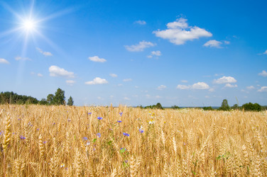 Similar image 480099