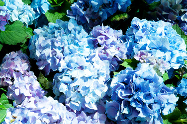 Similar image 480117