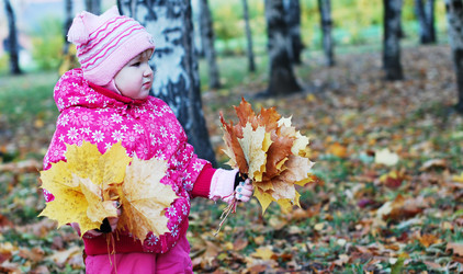 Similar image 480182