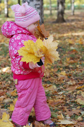 Similar image 480183