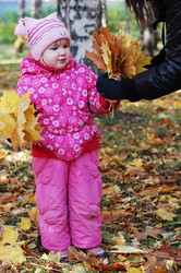 Similar image 480212