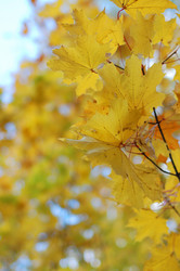 Similar image 480225