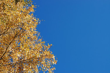 Similar image 480226