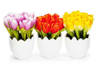 Similar image 480232