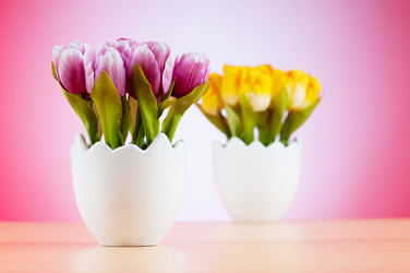 Similar image 480255