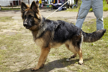 Similar image 480257