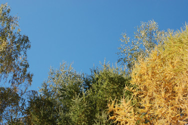 Similar image 480259