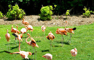 Similar image 480260