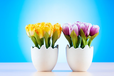 Similar image 480265