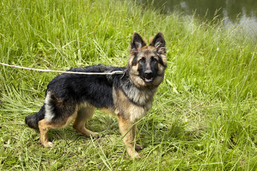 Similar image 480264