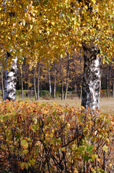 Similar image 480266