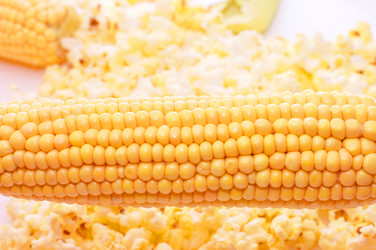 Similar image 480271