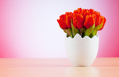 Similar image 480278