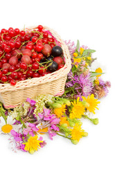 Similar image 480284