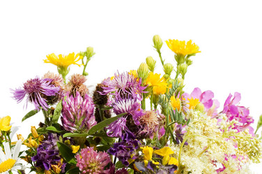 Similar image 480287