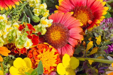 Similar image 480293