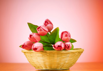 Similar image 480309