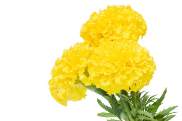 Similar image 480311