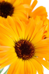 Similar image 480321