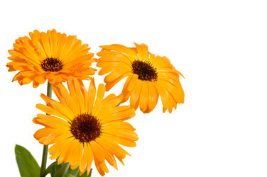 Similar image 480322