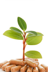 Similar image 480335