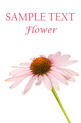 Similar image 480349