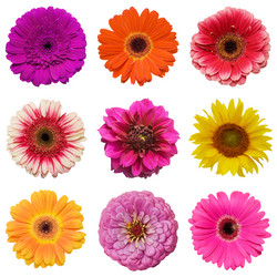 Similar image 480352