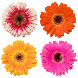 Similar image 480353