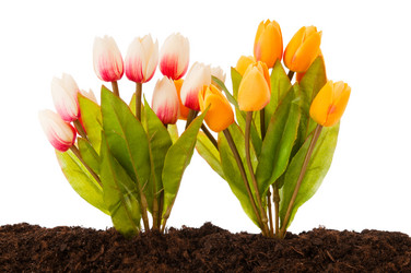 Similar image 480375