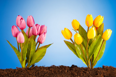 Similar image 480385