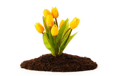 Similar image 480387