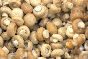 Similar image 480405