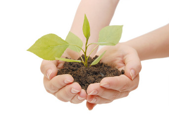 Similar image 480467