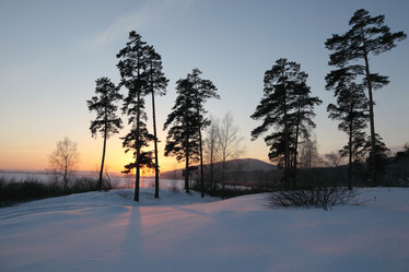 Similar image 480517