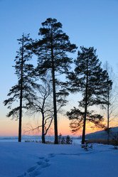 Similar image 480525