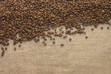 Similar image 480527