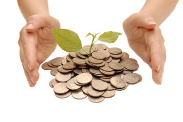 Similar image 480561