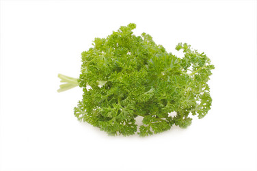 Similar image 480581