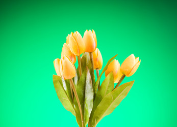 Similar image 480658