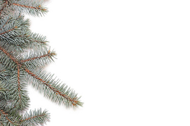 Similar image 480765