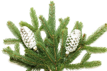 Similar image 480774