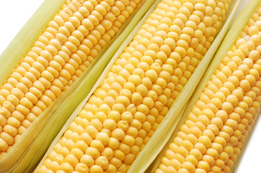 Similar image 480795