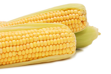 Similar image 480841