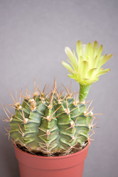 Similar image 480844