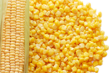 Similar image 480860