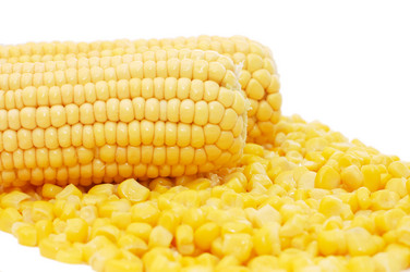 Similar image 480877